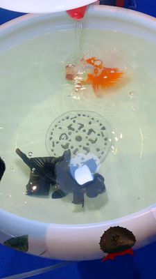 작약 본 520mm 램프를 가진 중국 세라믹 물고기 그릇