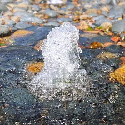스테인리스 컵 거품 분수는 살포 머리 연못 샘 분사구를 Nozzles