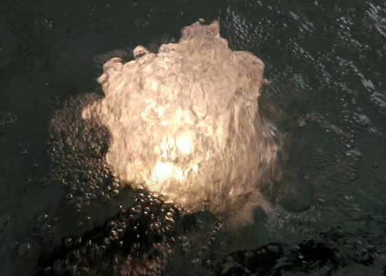 램프와 80 L/M 1 인치 댄스 분수 제트노즐